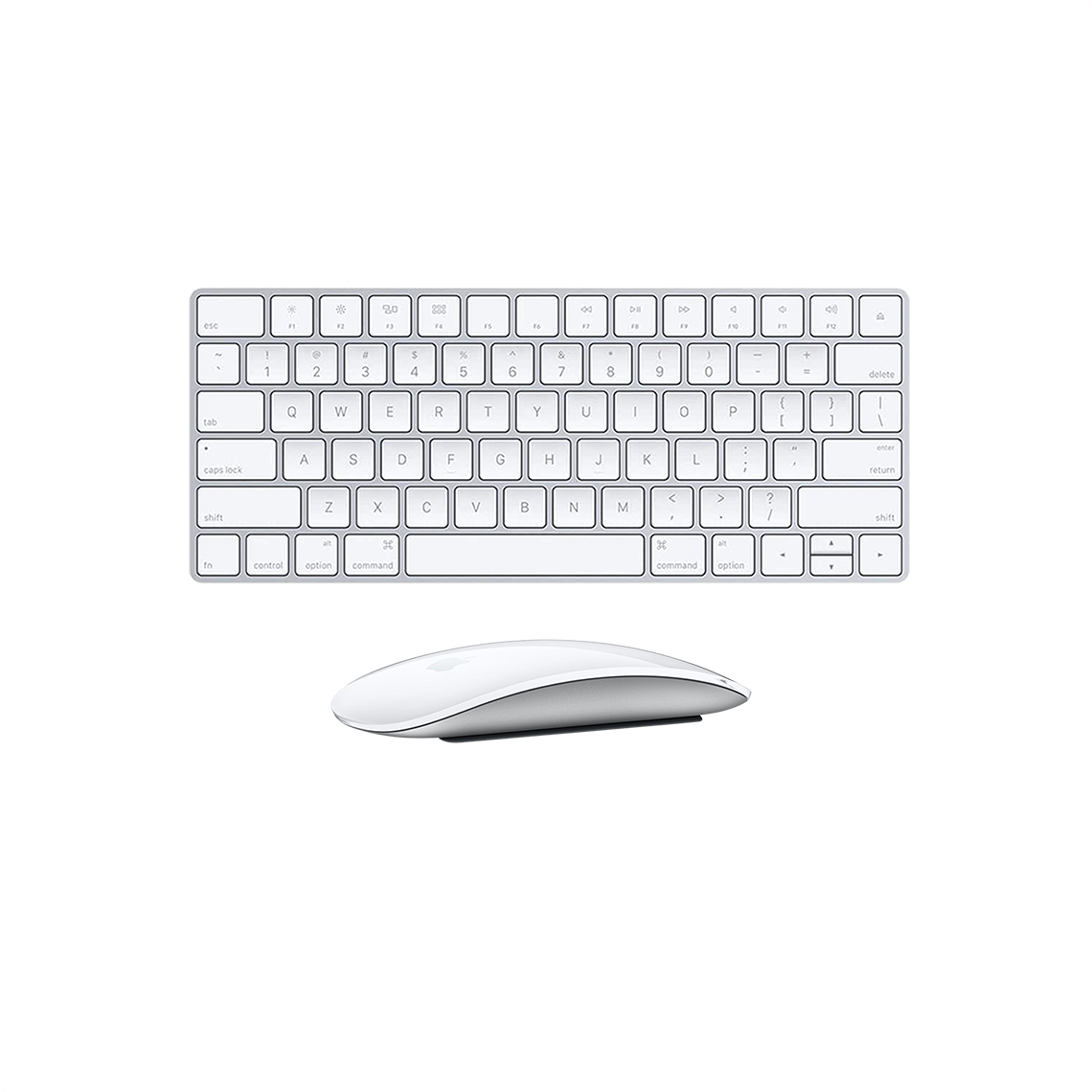 Wireless Apple Keyboard & Magic Mouse Set