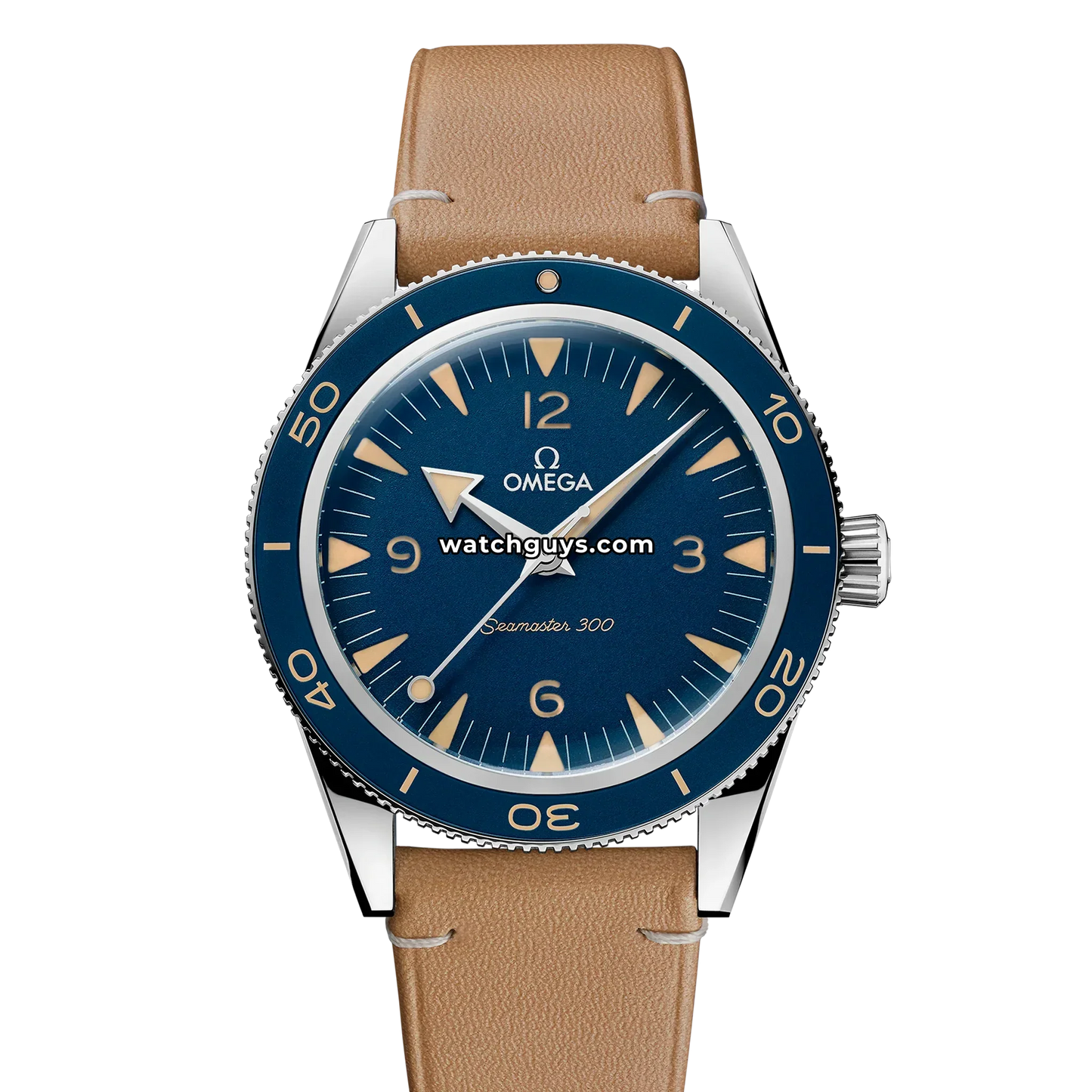 Omega Seamaster 300 Co-Axial Master Chronometer 234.32.41.21.03.001