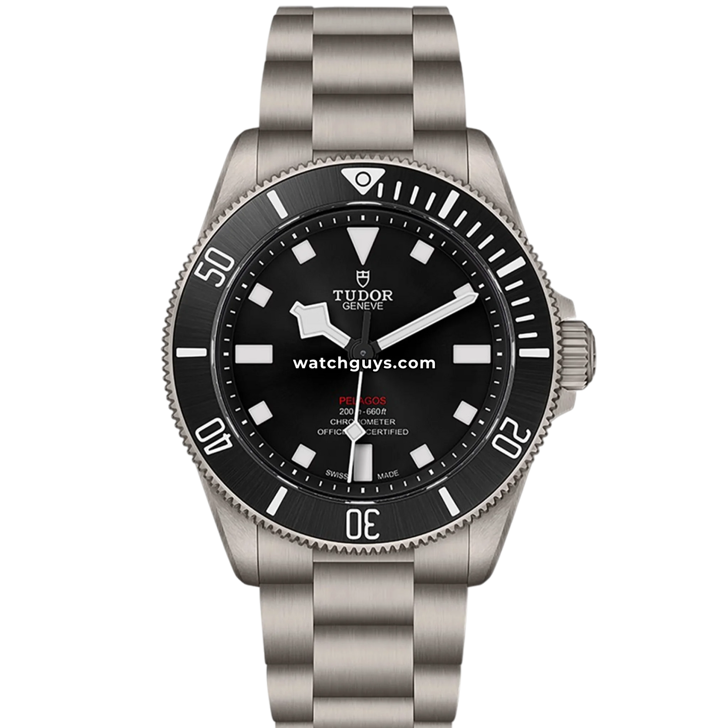 Tudor Pelagos 25407N Titanium