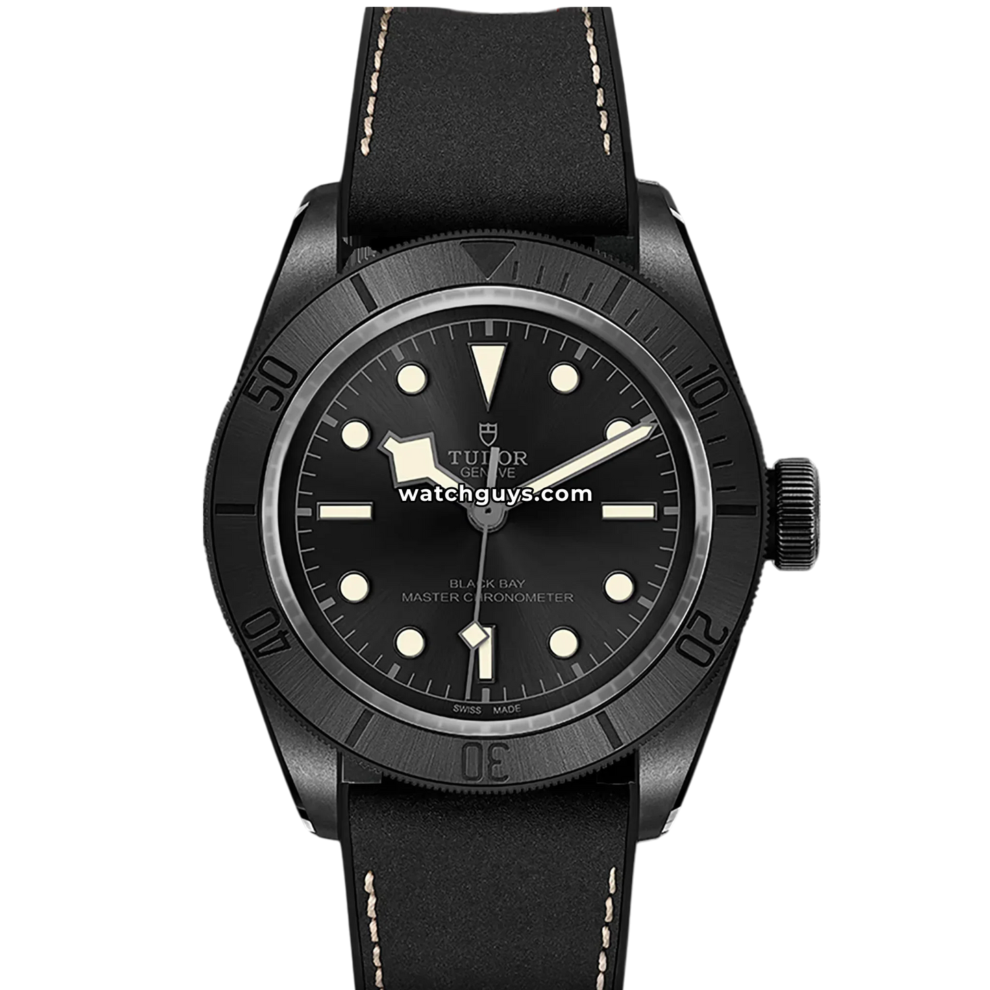 Tudor Black Bay 79210CNU Black