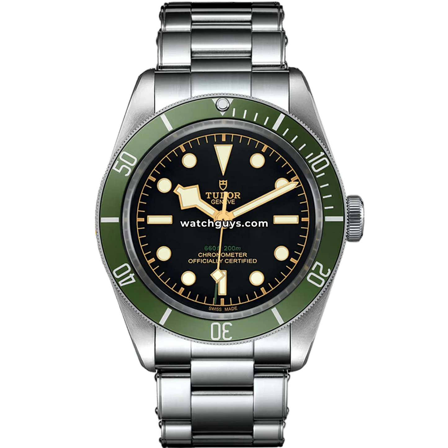 Tudor Black Bay 79230G