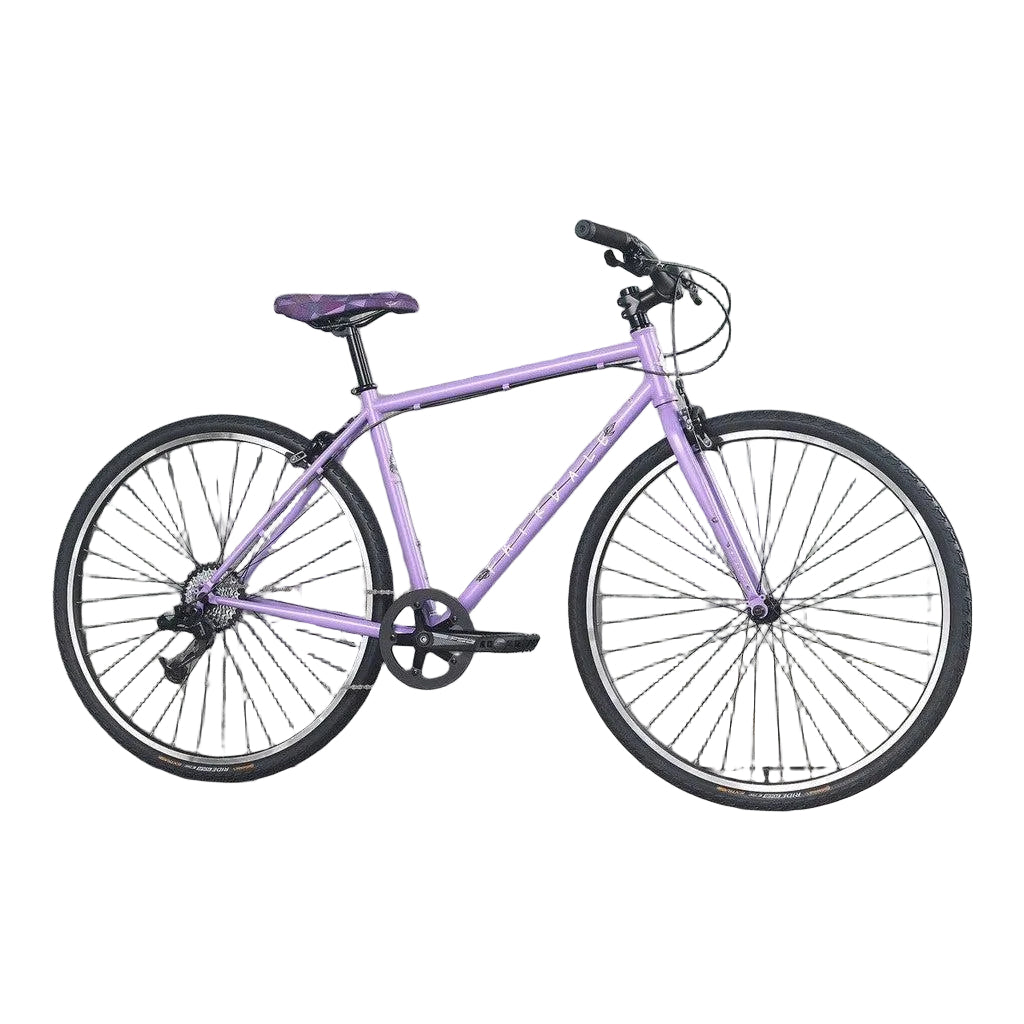 Fairdale Lookfar 700c Bike