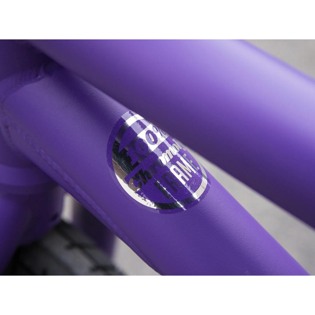 Sunday Forecaster 20 Inch Bike
