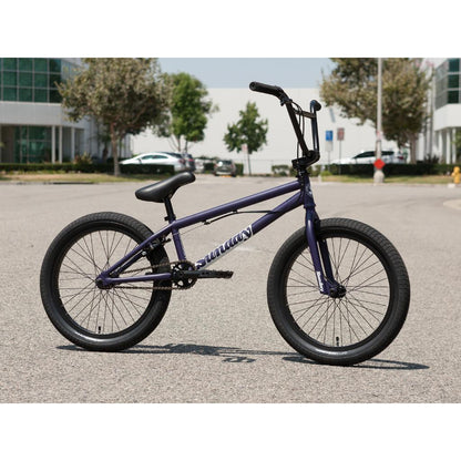 Sunday Forecaster Maca Grasset 20 Inch Bike