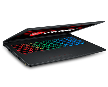 MSI GF62 8RE-058US ? 15.6" FHD ? Intel Core i7-8750H ? 16GB RAM ? NVIDIA GeForce GTX 1060 (6GB) ? 1TB HDD + 256GB SSD ? Black ? GF62058