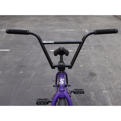 Sunday Forecaster 20 Inch Bike