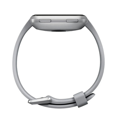 Fitbit Versa Smart Watch Large & Small Bands - Gray/Silver - FB504SRGY