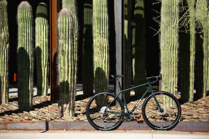 4130 All-Road - Alpine Bloom (12 Speed / UDH)