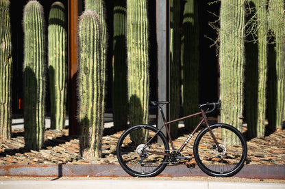 4130 All-Road - Root Beer (12 Speed / UDH)