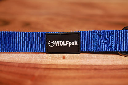 Adjustable Nylon Dog Collar Champion Blue