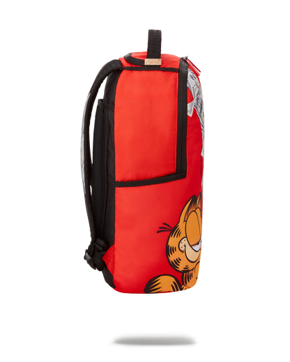 GARFIELD CAT SCRATCH (DLXR)