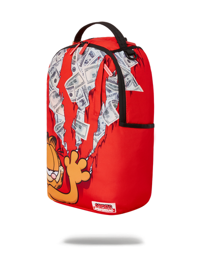 GARFIELD CAT SCRATCH (DLXR)