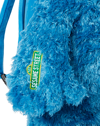 MONEY "COOKIE" BEAR TEDDYBEAR BACKPACK
