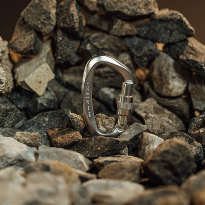 Accessory Carabiner Silver