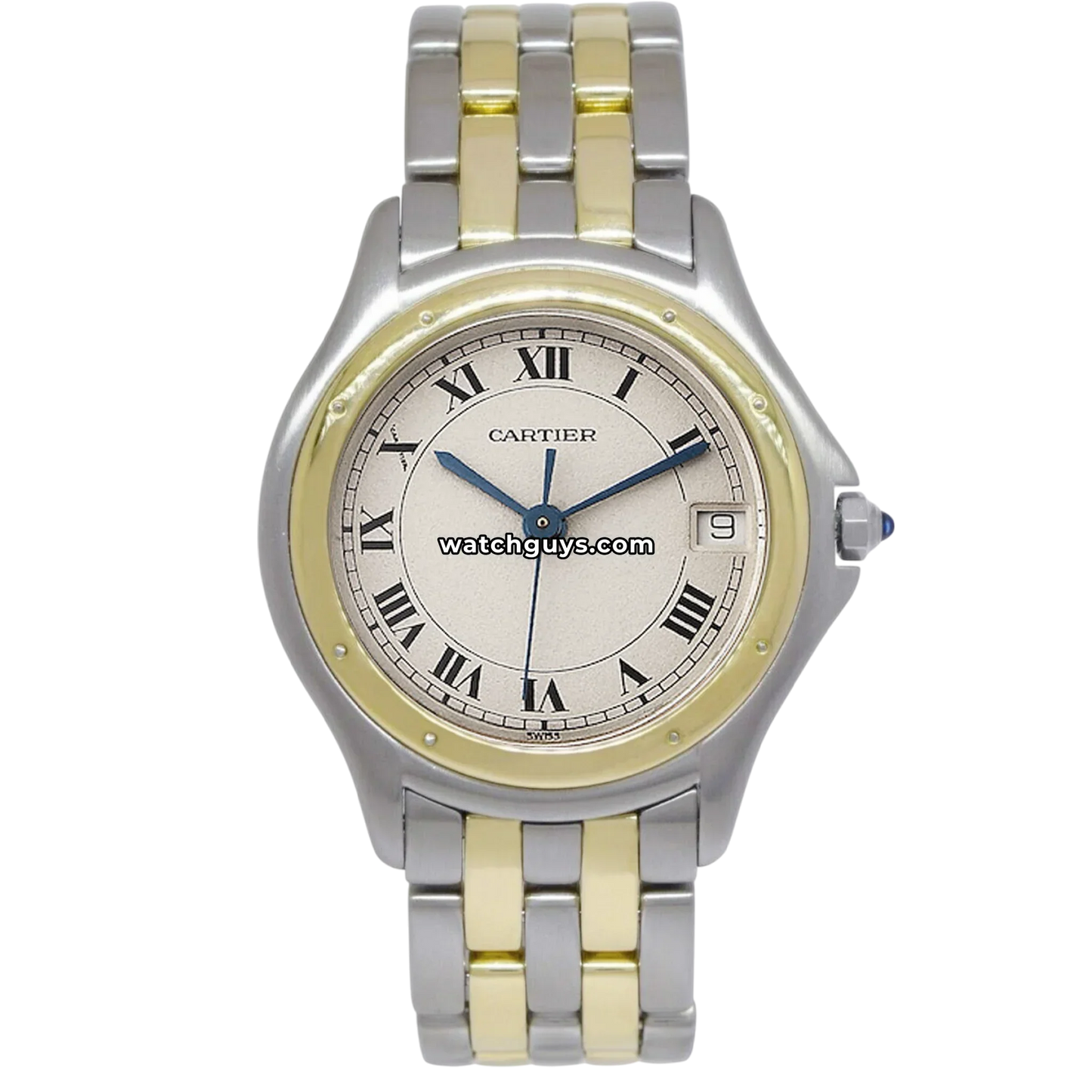 Cartier Panthere Cougar 119000R