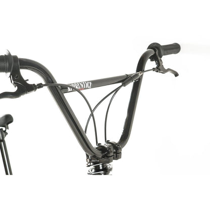 Colony Apprentice Flatland 20 Inch Bike