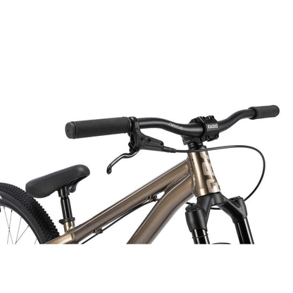 Radio Griffin 24 Inch Dirt Jumper Bike