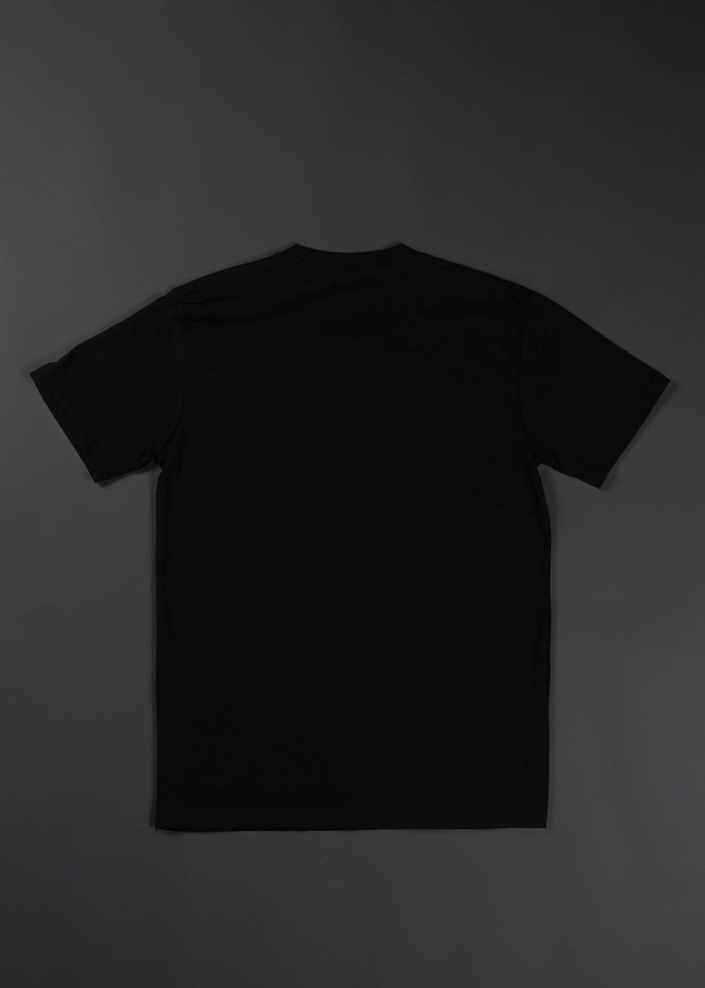 Apocalypse From The Ashes Graphic T-Shirt