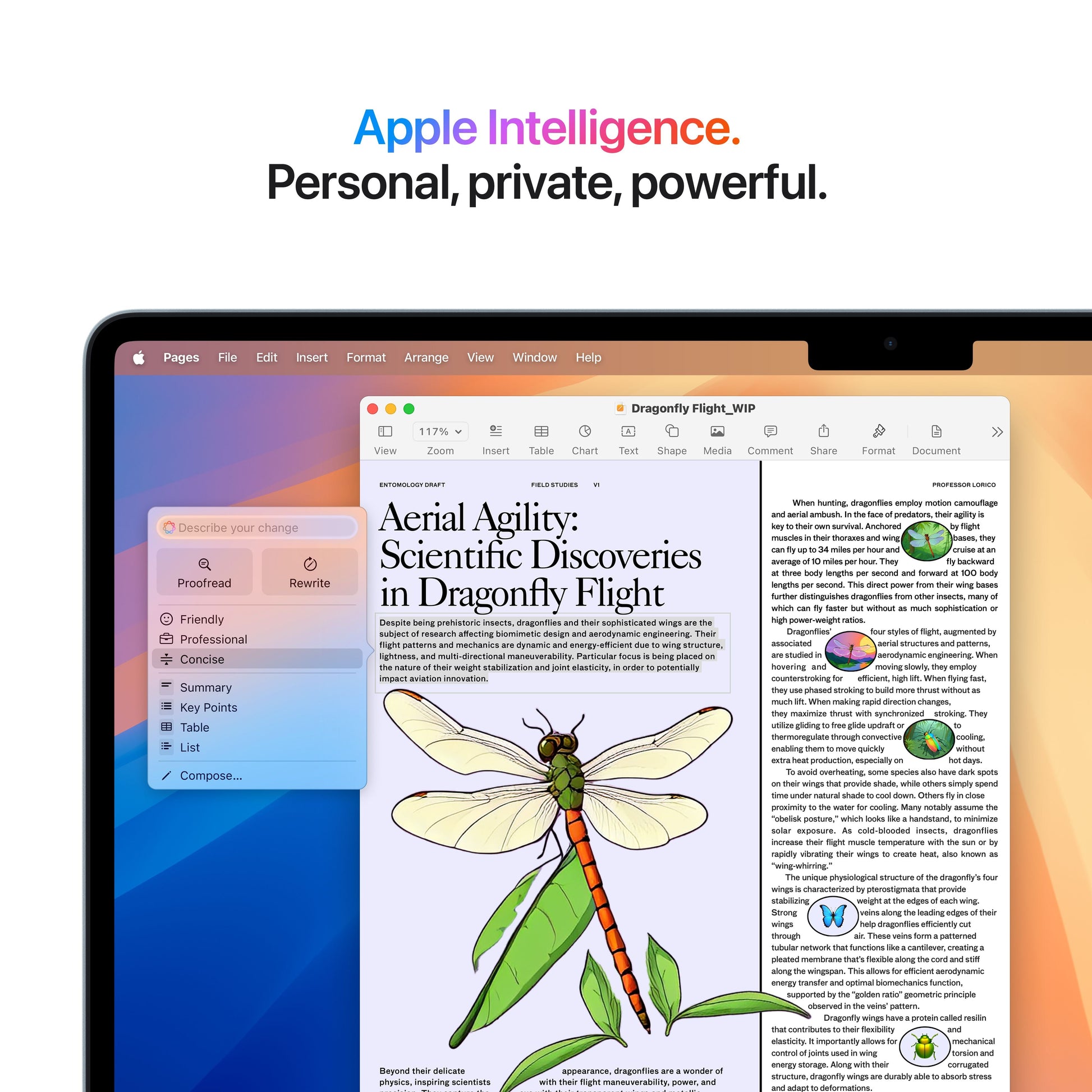 15-inch MacBook Air M4 16GB Memory / 1TB Storage - Midnight