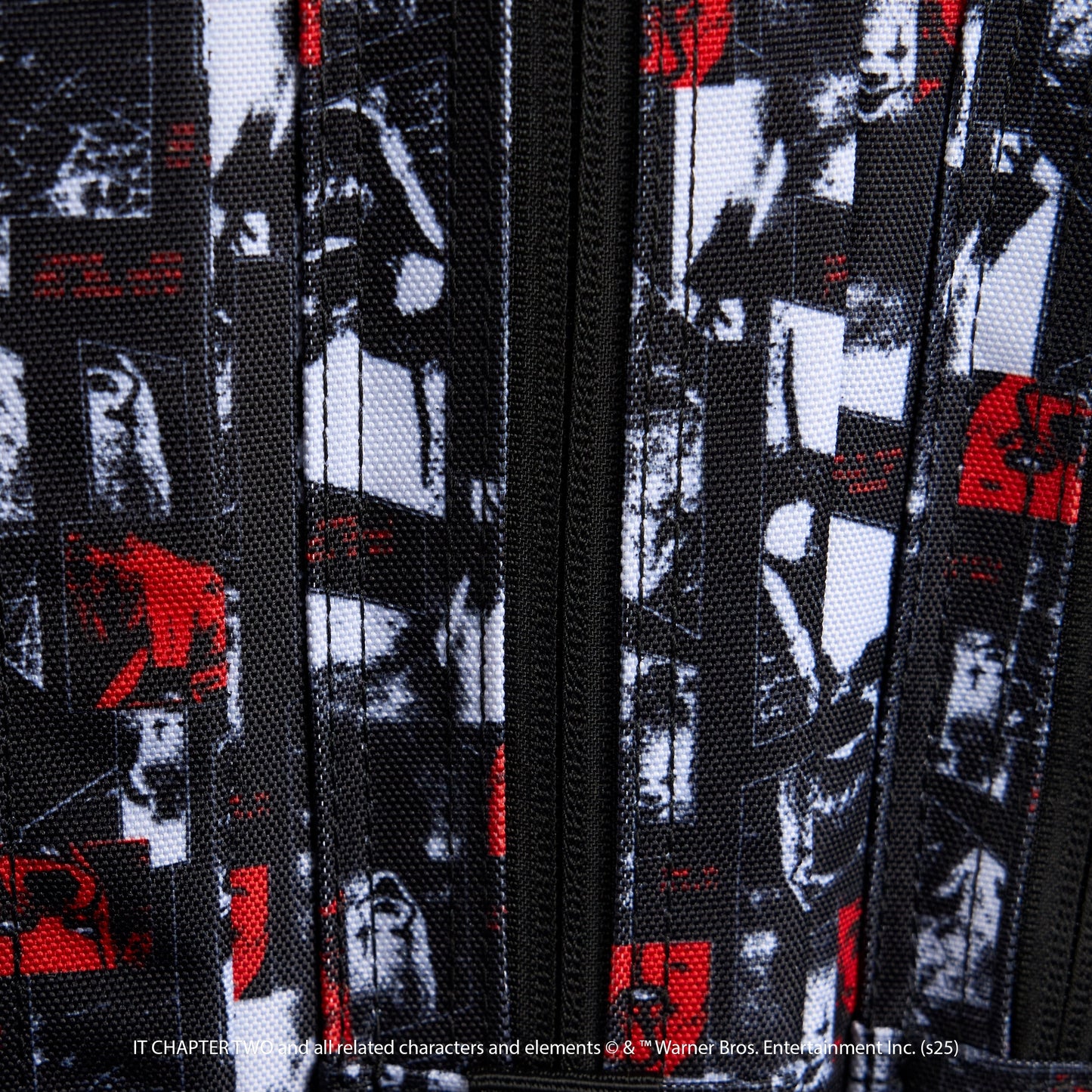 45L Backpack IT Chapter 2