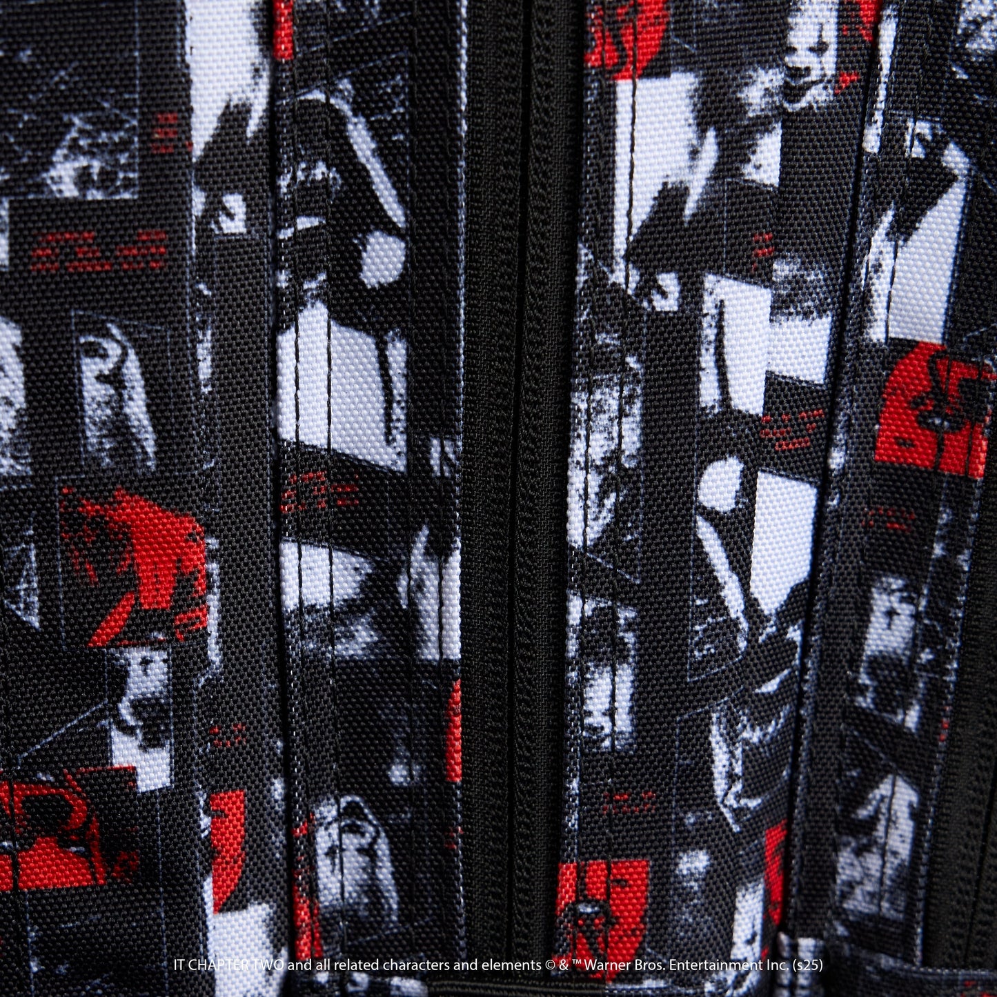 35L Backpack IT Chapter 2