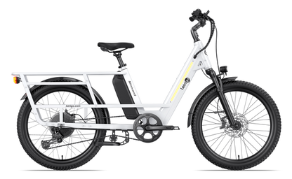 Letrigo Minivan SE Electric Bike