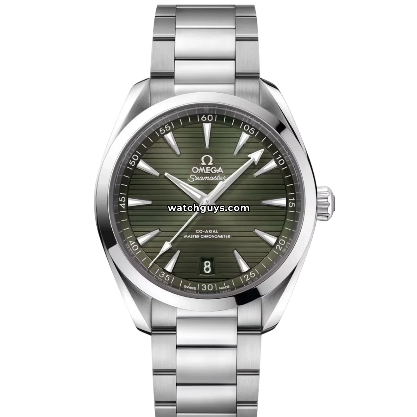 Omega Seamaster Aqua Terra 220.13.41.21.10.001