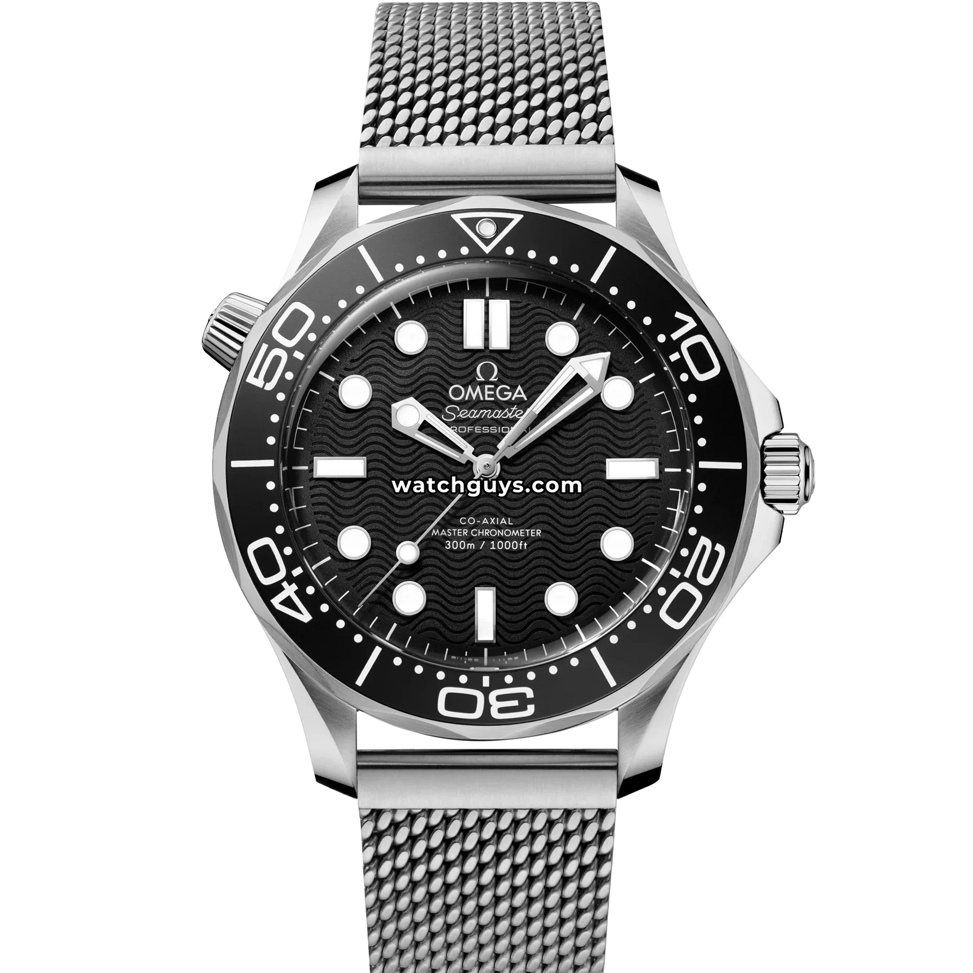 Omega Seamaster Diver 210.30.42.20.01.010