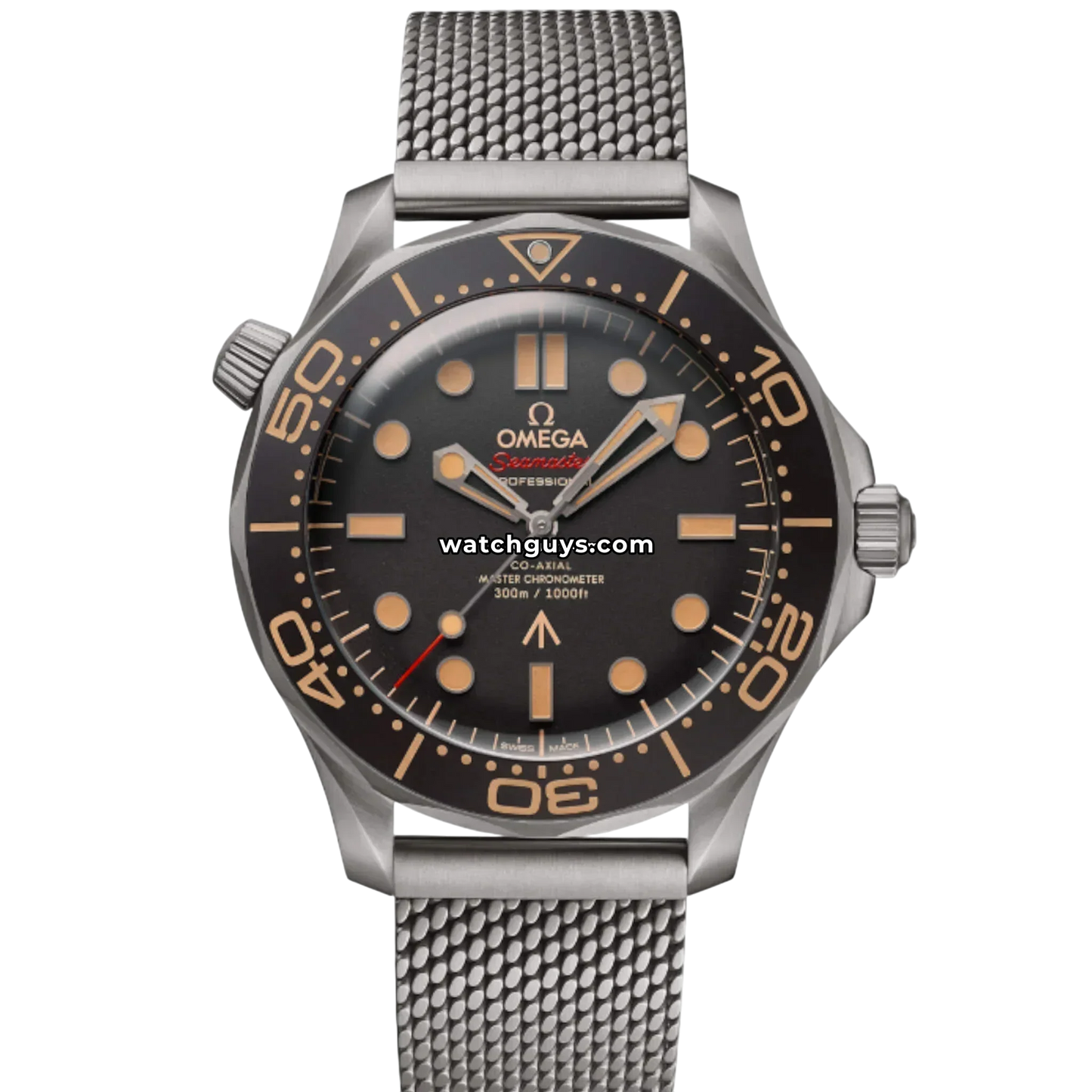 Omega Seamaster Diver 42mm 210.90.42.20.01.001 Brown Dial Titanium