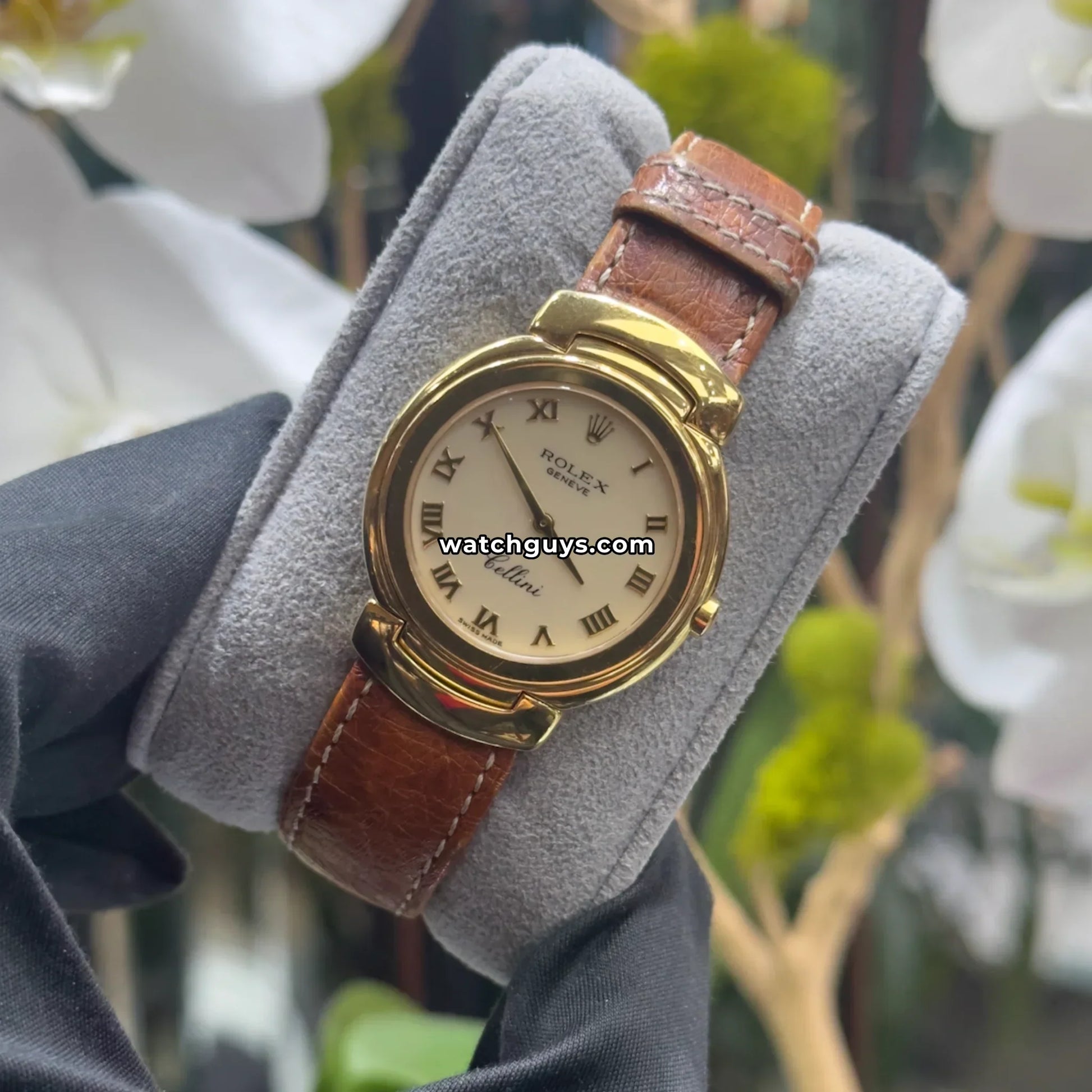 Rolex Cellini 6622 White Roman