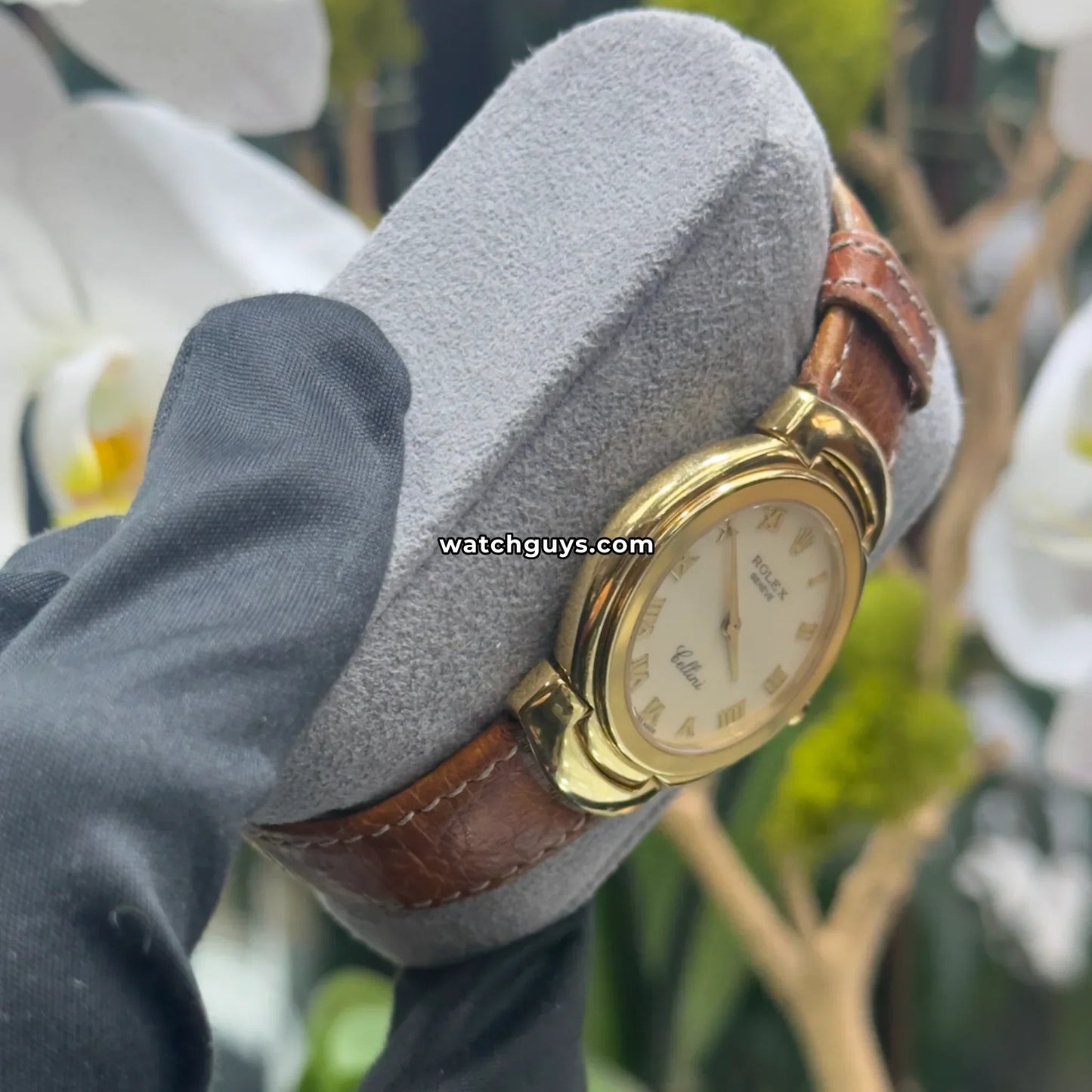 Rolex Cellini 6622 White Roman