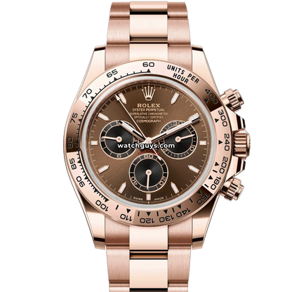 Rolex Daytona 126505 Chocolate Rose Gold
