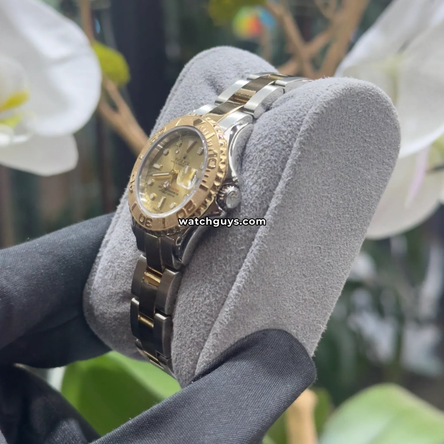 Rolex Yacht-Master 69623 Champagne