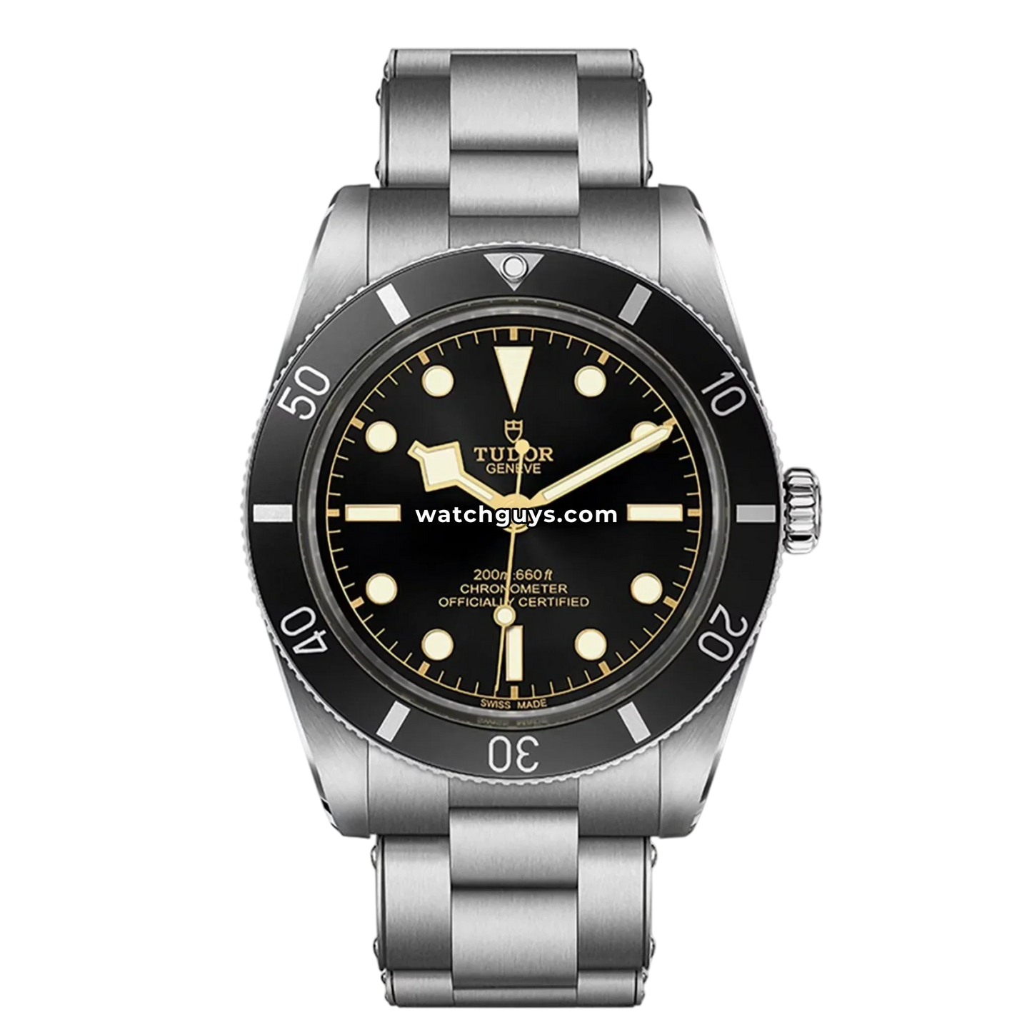 Tudor Black Bay 54 79000N