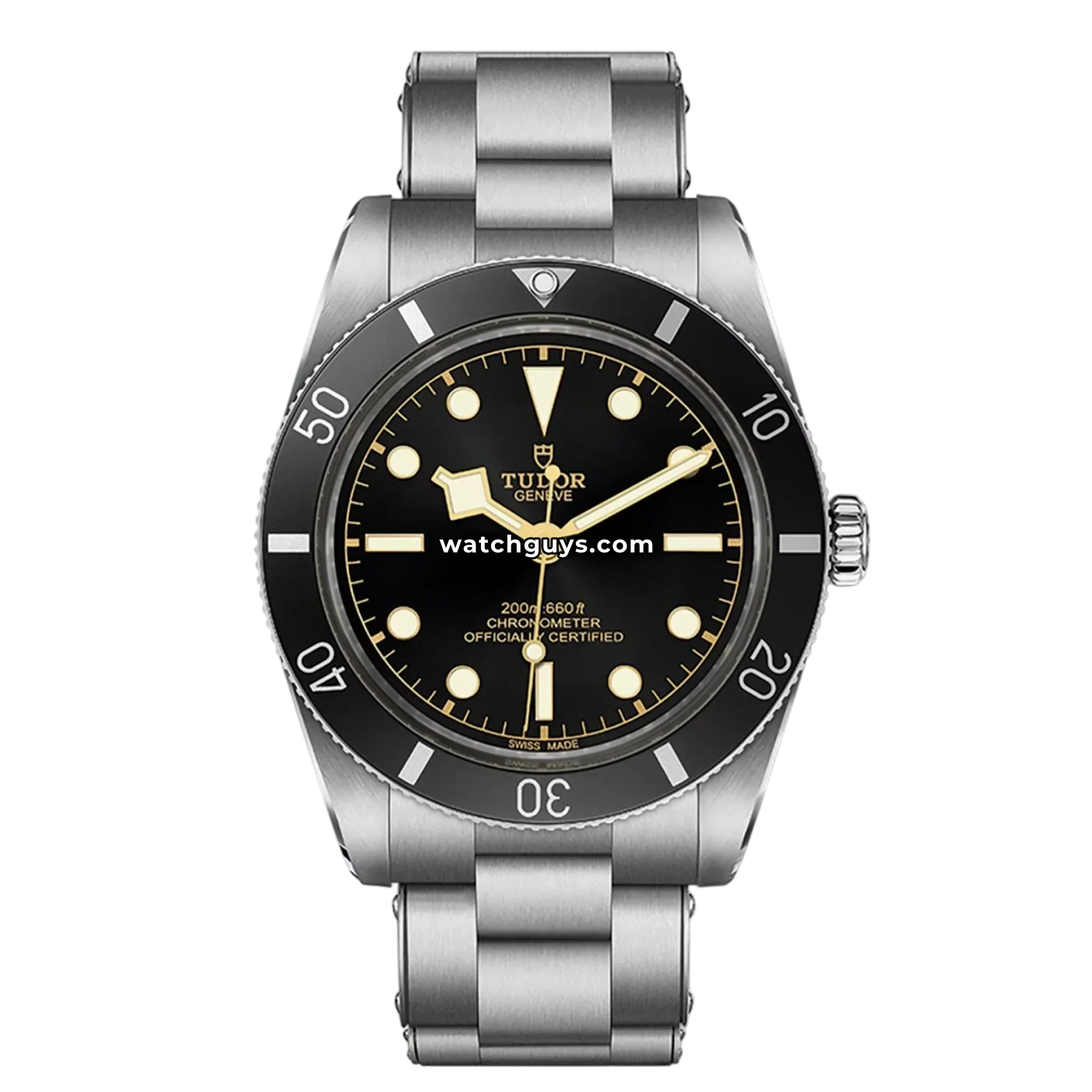 Tudor Black Bay 54 79000N