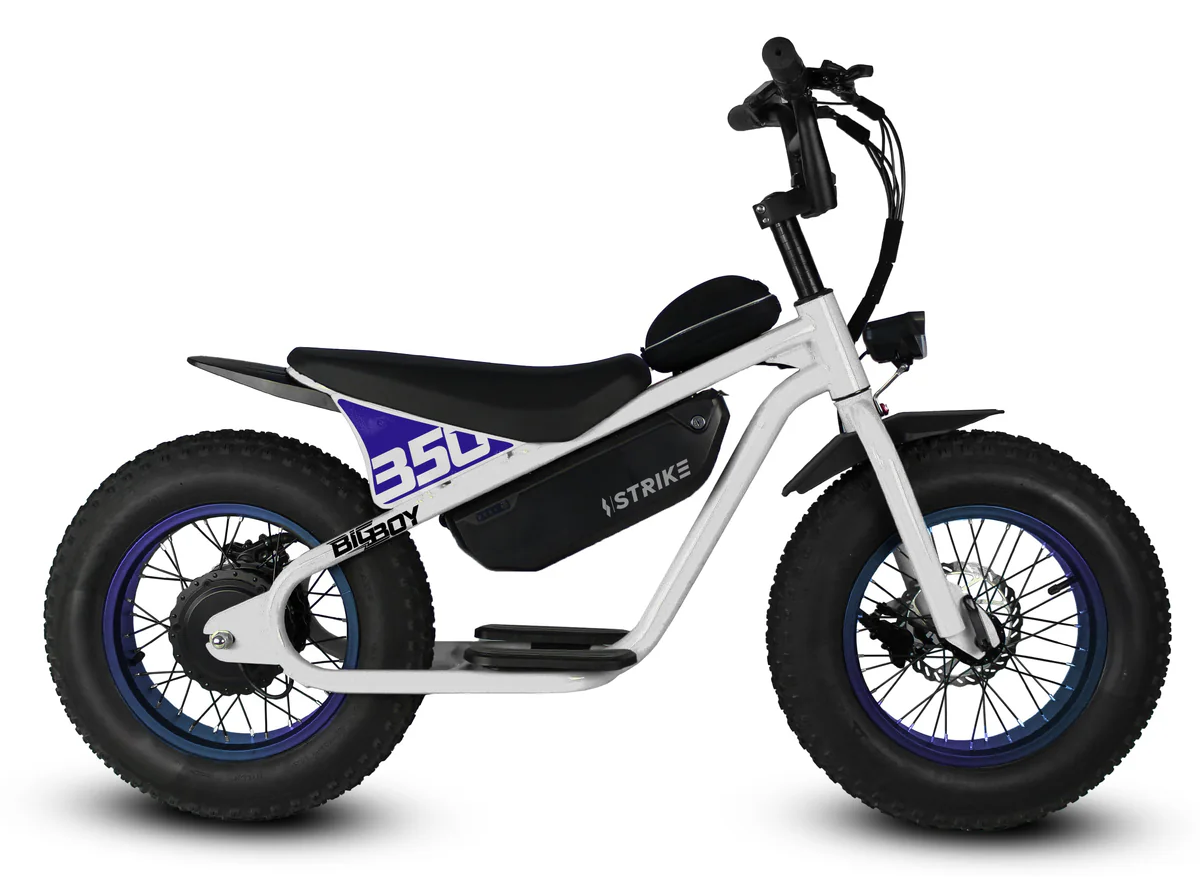 Golden Cycles Big Boy Electric Bike