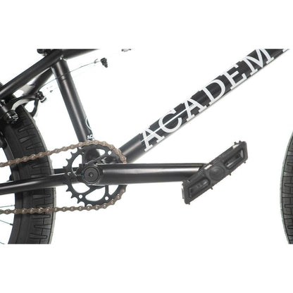 Academy Entrant 20 Inch Bike