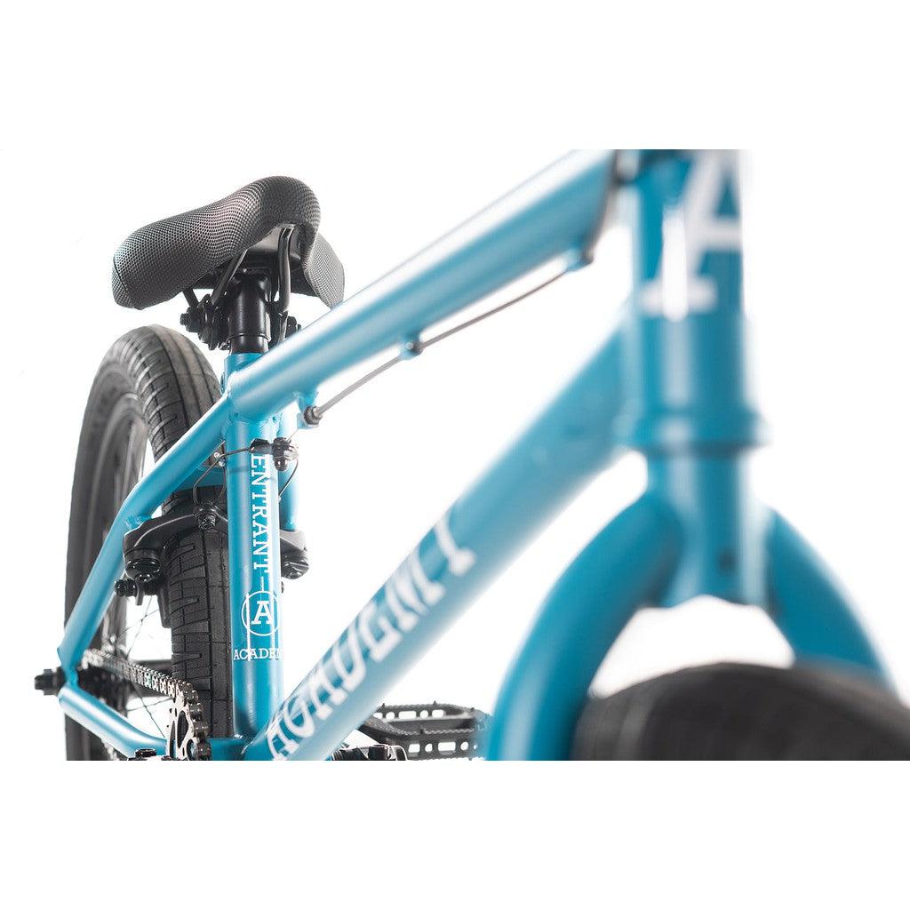 Academy Entrant 20 Inch Bike