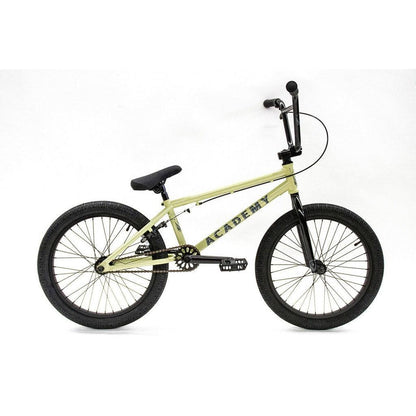 Academy Entrant 20 Inch Bike