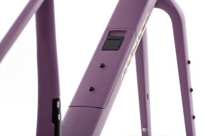 Carbon All-Road v2 Frame & Fork Set - Dusty Merlot