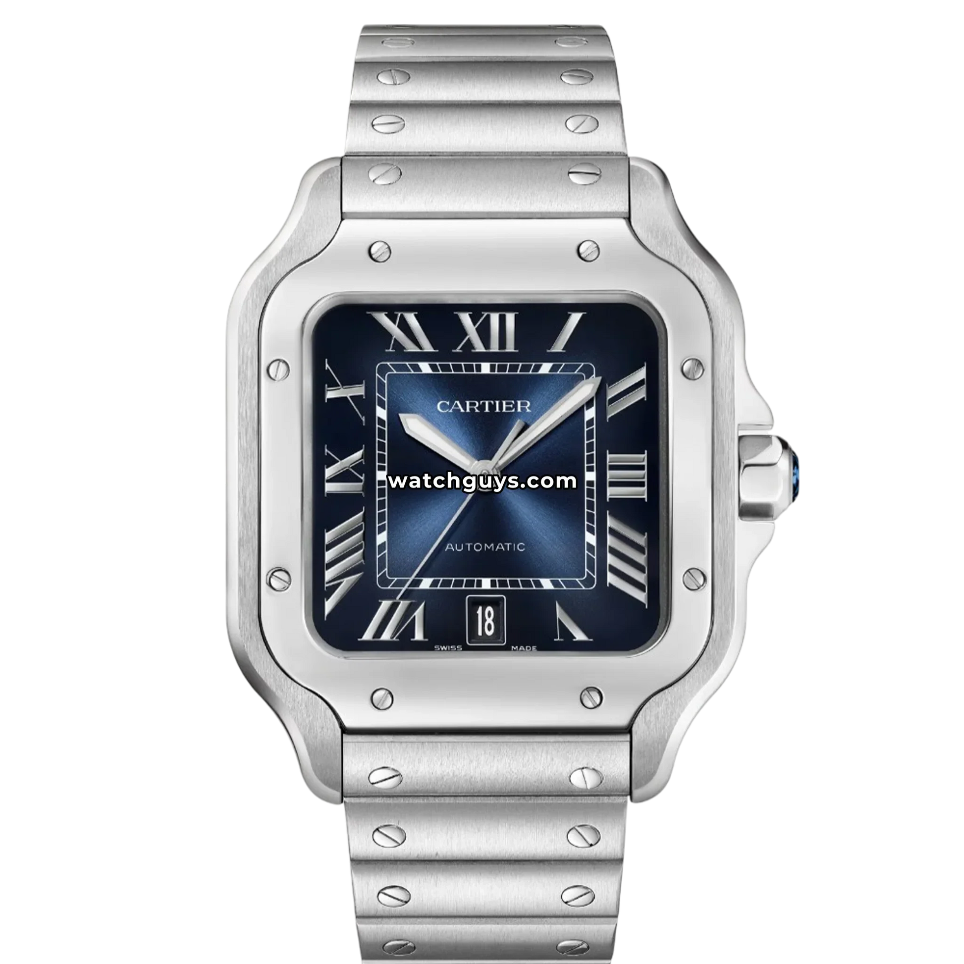 Cartier Santos Large WSSA0071 Blue