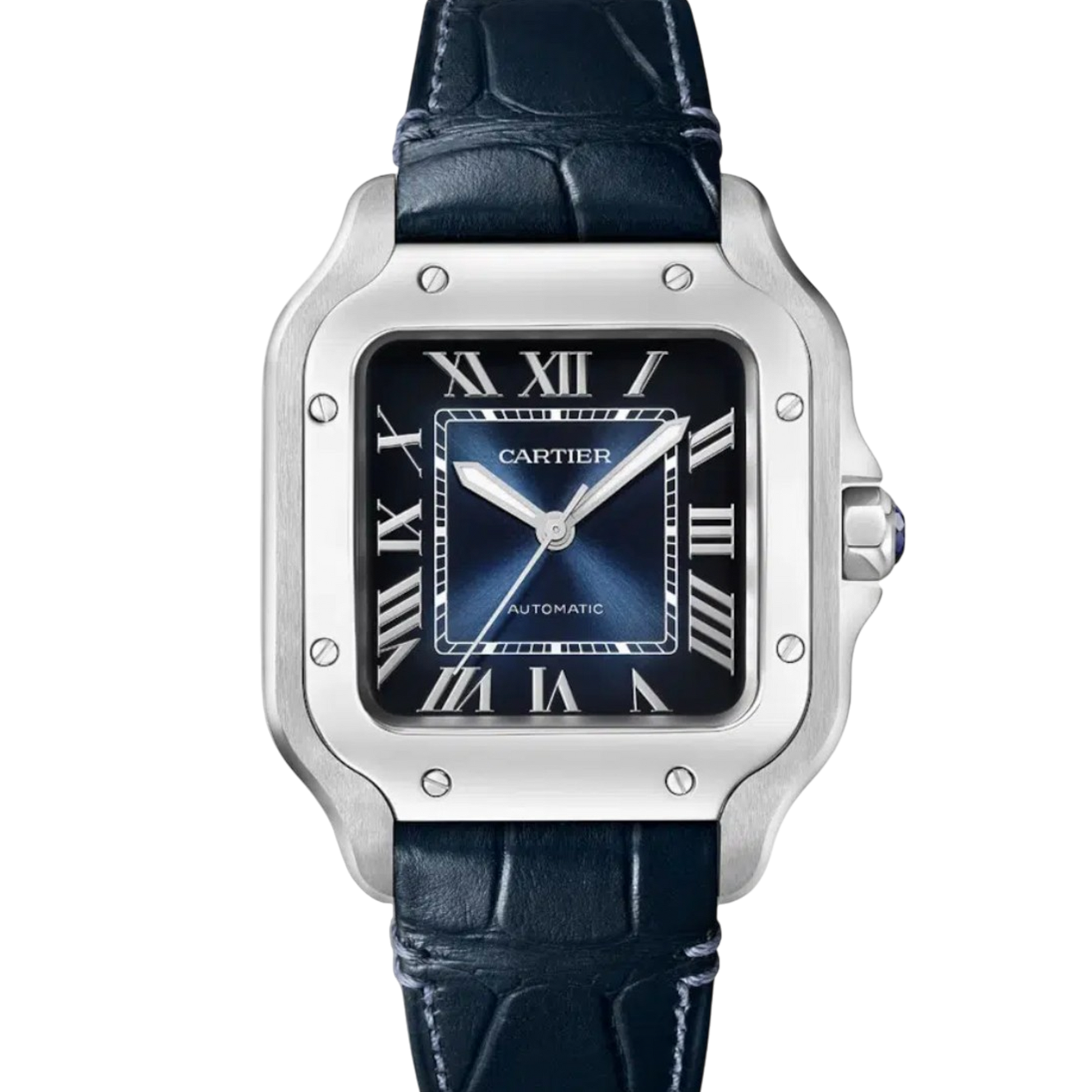 Cartier Santos WSSA0063 Blue