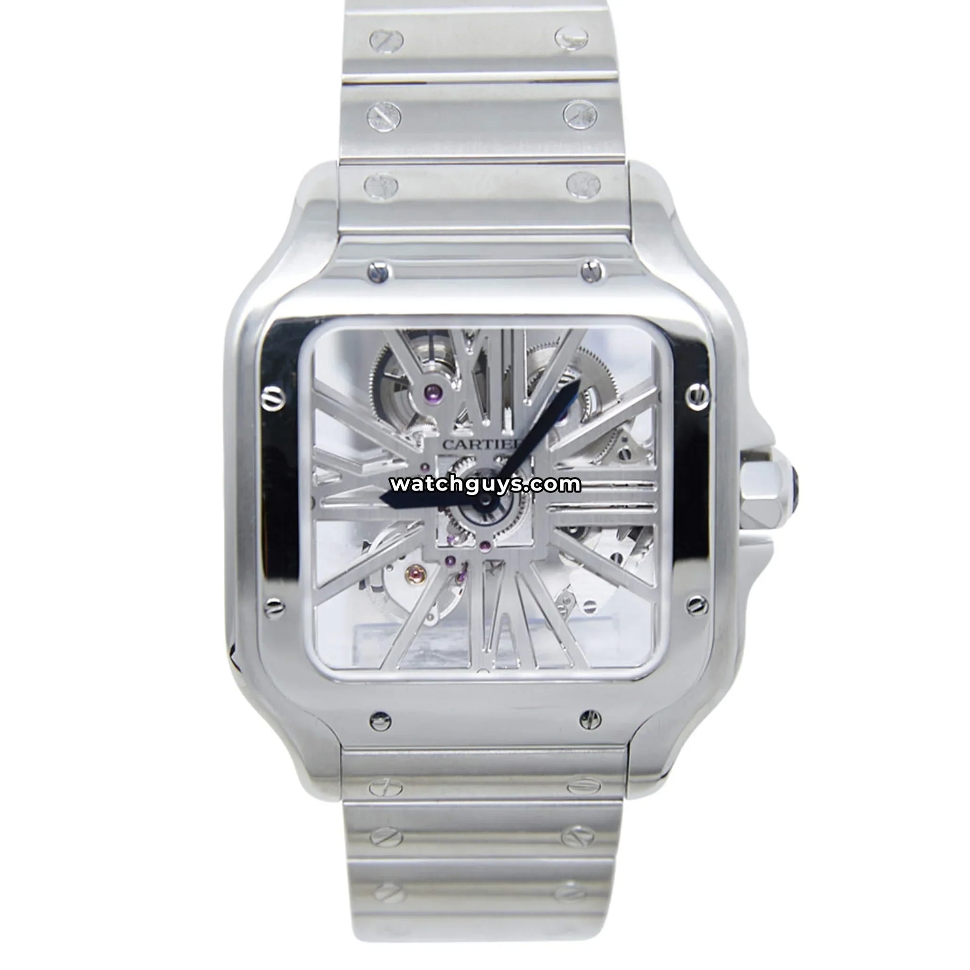 Cartier Santos Skeleton Large WHSA0015