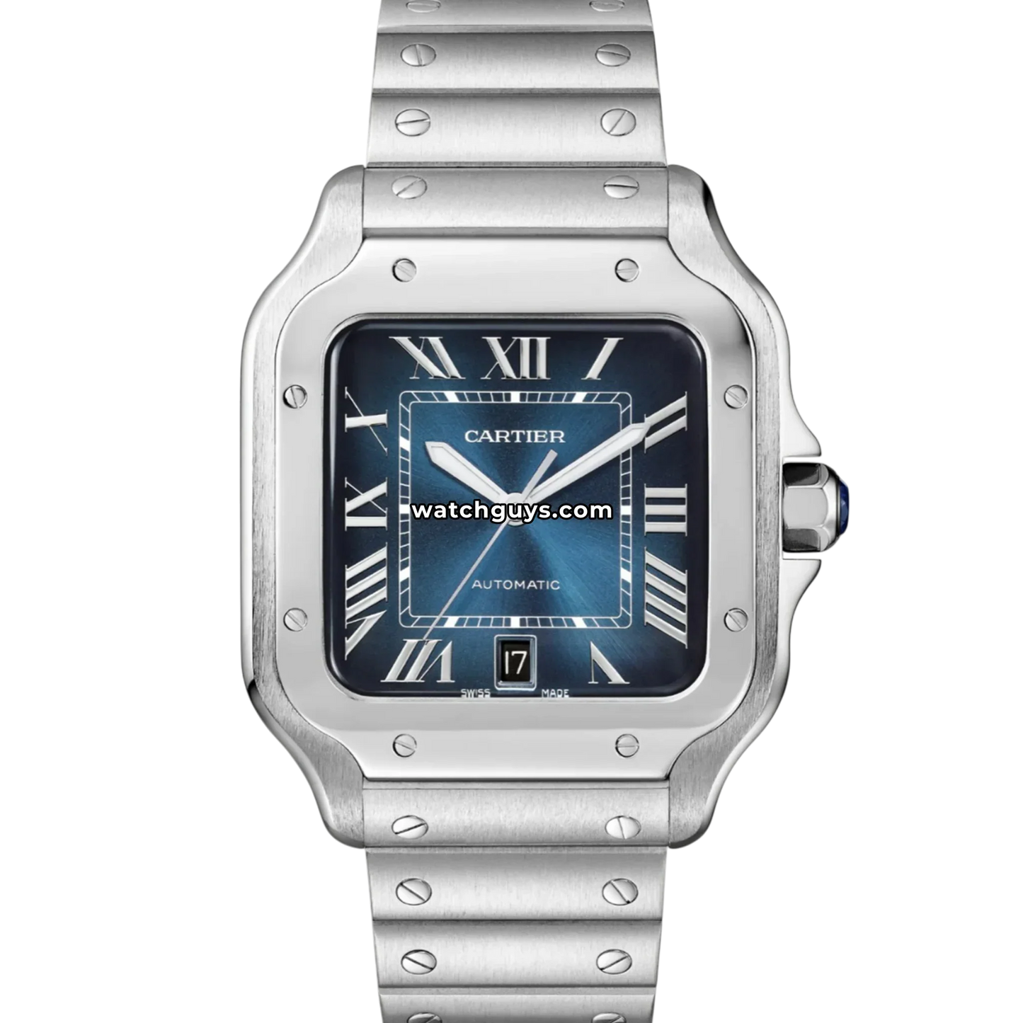 Cartier Santos WSSA0013 Blue