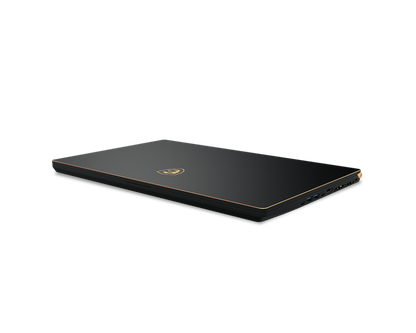 MSI GS75 Stealth 10SE-620 ? 17.3" FHD 240Hz ? i7-10875H ? 16GB RAM ? RTX 2060 ? 512GB SSD ? GS75620