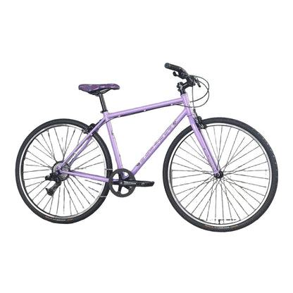 Fairdale Lookfar 700c Bike