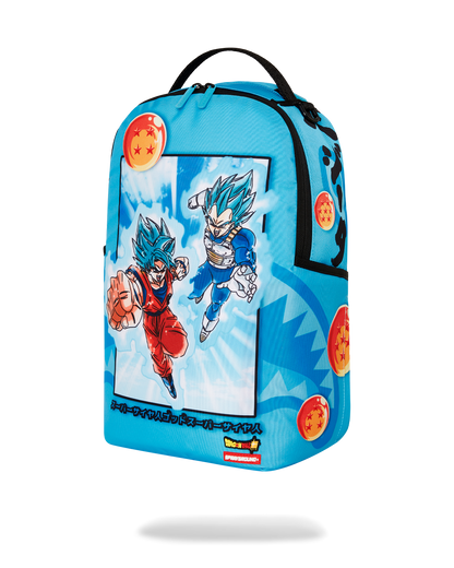 DRAGON BALL Z SUPER SAIYAN BLUE GOKU AND VEGETA