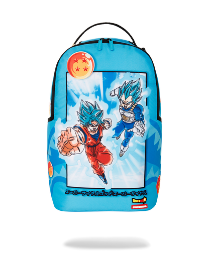DRAGON BALL Z SUPER SAIYAN BLUE GOKU AND VEGETA