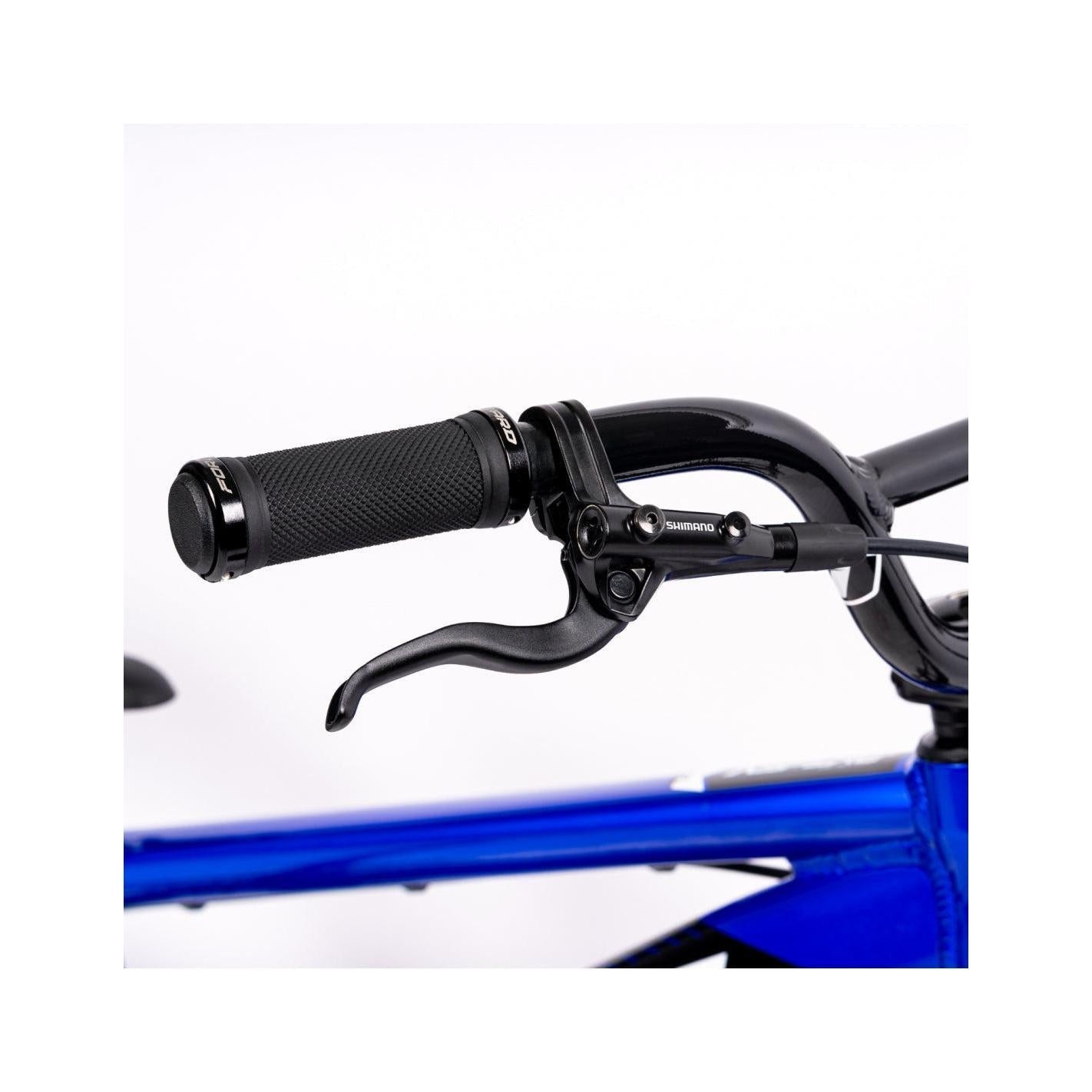 Inspyre Evo Disc Expert Bike
