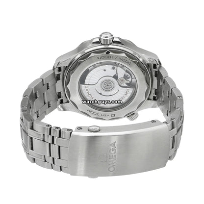 Omega Seamaster Diver 210.30.42.20.01.001